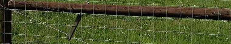 Field and Paddock Fencing Meshes